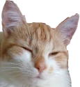 tachanka_feelsnice emote