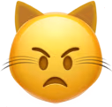 cat_angry emote