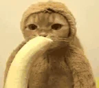 BANANY emote
