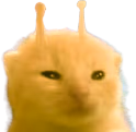 ylorp emote