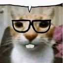 catNerd emote
