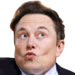 elonwhoa emote
