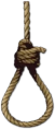 ROPE emote