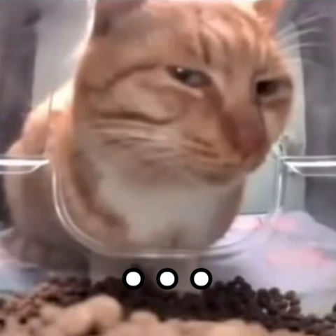 side_eye emote