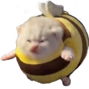 bzz emote
