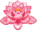 lotus_flower emoji