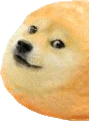 doge_twinkie1 emote