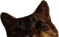 lucyPeek emote