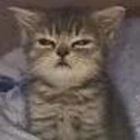 CE_Small emote