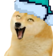 Doge_Christmas emote
