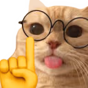 catNerd emote