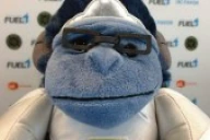 winton emote