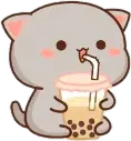 gray_bobacat emote