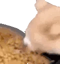 Scrumptious emote