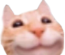 3 emote