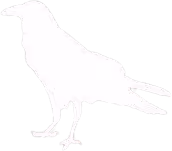 Crow emote