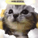 bless emote