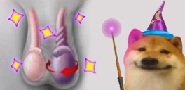 testiculars emote