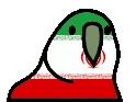 iranParrot emote