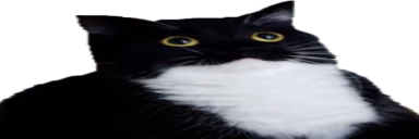 bigboobs emote
