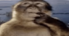 THINKING emote
