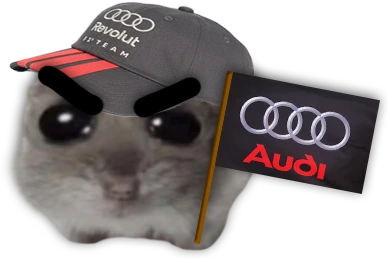 killemdeadAUDI emote