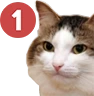 kiisu_ping emote