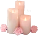 dollettecandles emote
