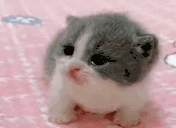 Scared emote
