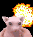 Bangus animated emote