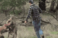 Australia emote