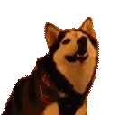 HUH emote