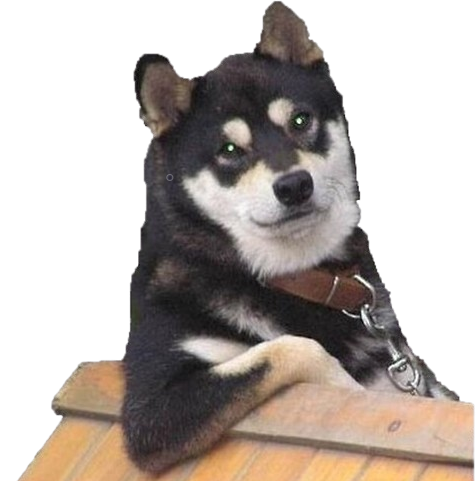 Cooldog static emote