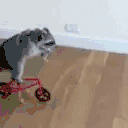 bike animated emote
