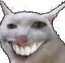 SmileCat emote