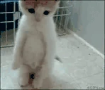 POVYouGotBannedInChatButSomeoneDMdYouAdankHugYouFeelsManButItsWh emoji