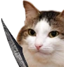 kiisu_sword emote