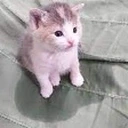 amamemie emote