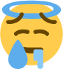 Angle static emote