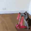 raccoonWeee emote
