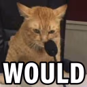 WOULD emote