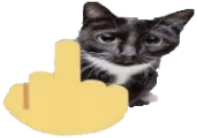 Middle_Finger_Cat emote