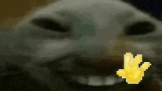 xddhi emote