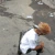 so_a_palinha_cv_td2_f4bihype emote