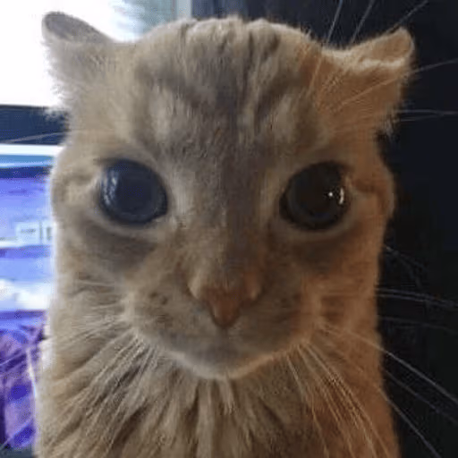 romka emote