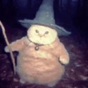 wizard emote