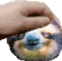 SlothPat animated emote