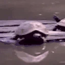 Bye emote