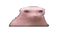Bingus_angry emote