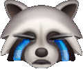 crying_raccoon emote